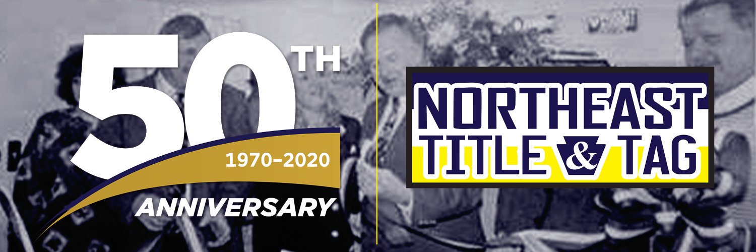 netitle's profile banner image