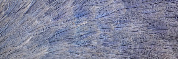 Andreas_Hepp Profile Banner