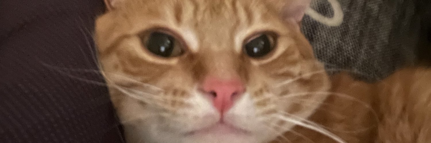 alexsaavedr_'s profile banner image