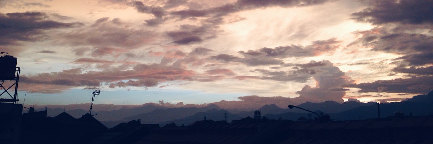 Pricillia Lindy banner