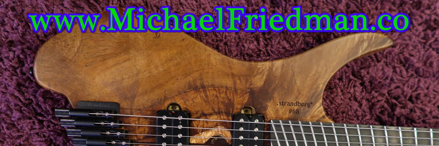 Michael J Friedman banner