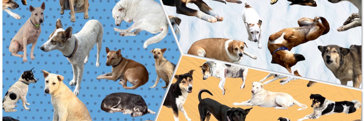 冷たい犬🇹🇭バンコク banner