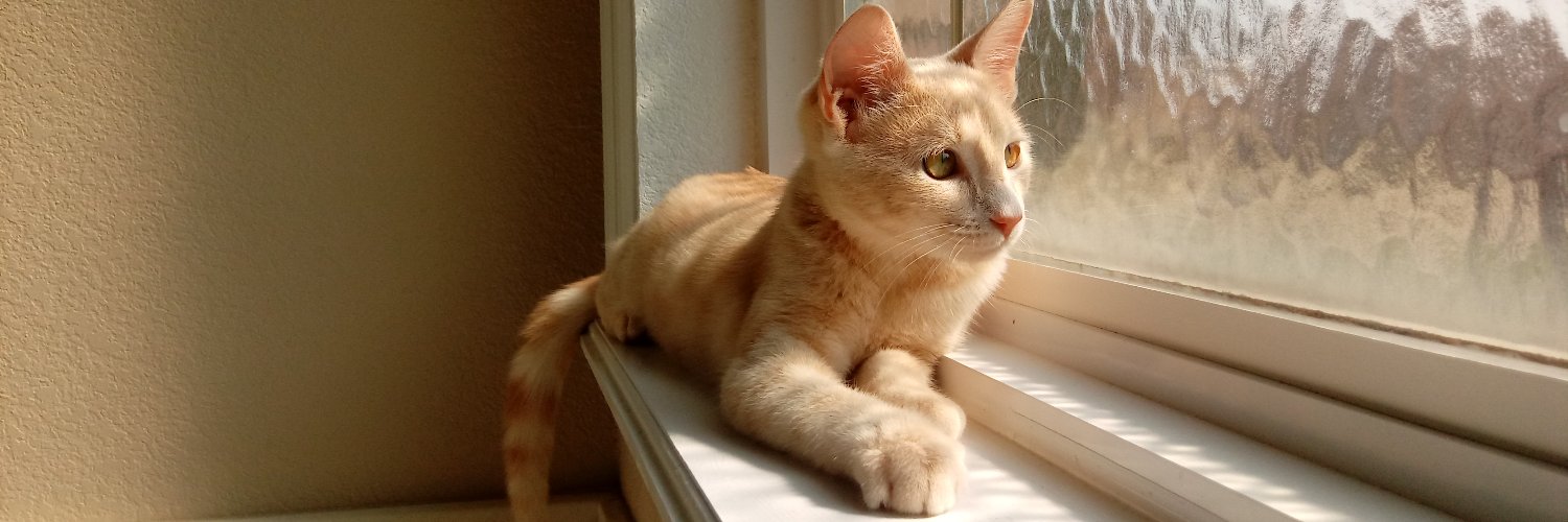 Byron L. Zamboanga, Ph.D. banner