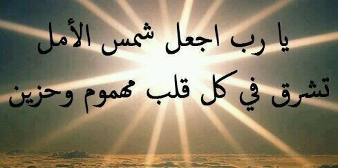 بدر البدور banner