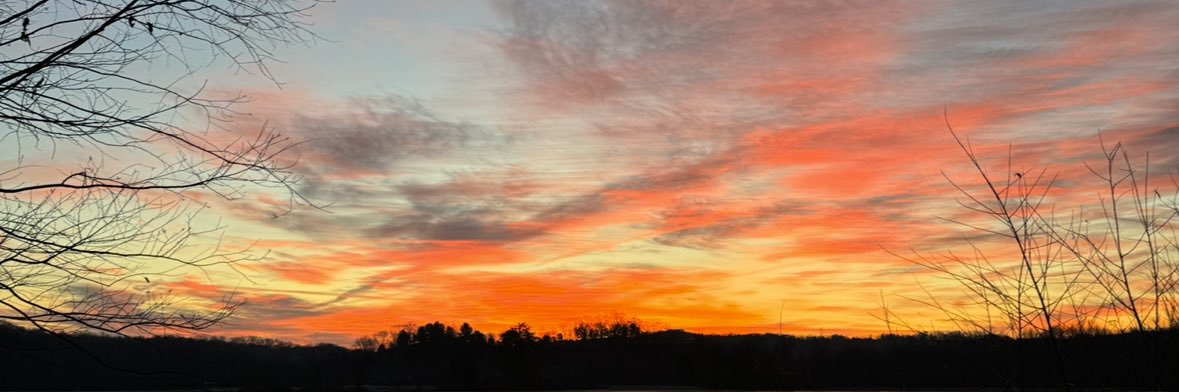 𝐕𝐞𝐫𝐨𝐧𝐢𝐜𝐚 banner