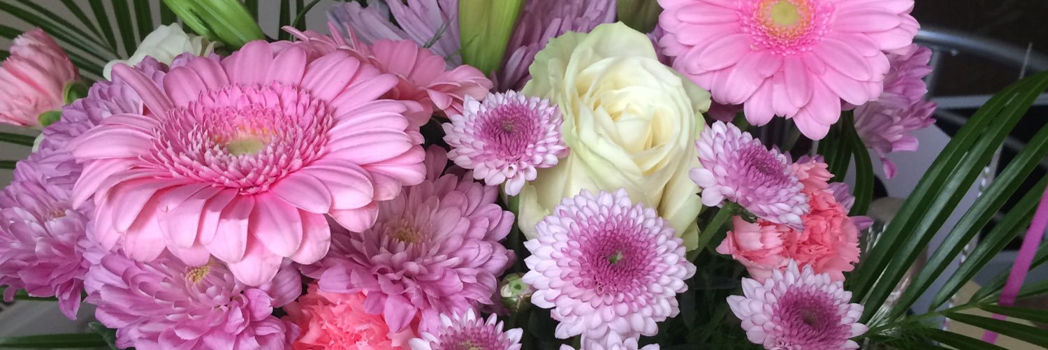 deborahbee88's profile banner image