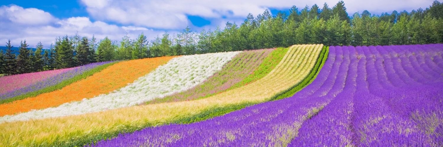 take2519's profile banner image