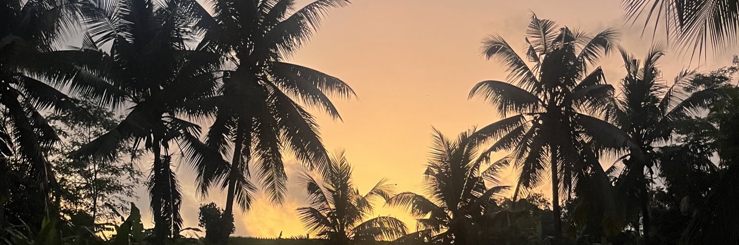 I Made Andi Arsana (IG:@madeandi) banner