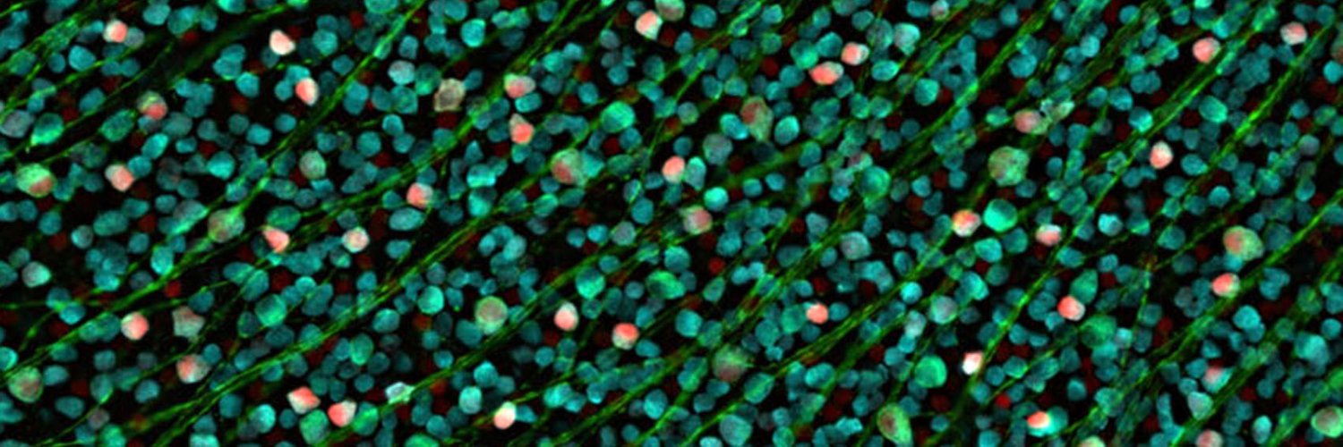 Christian Puller @christianpuller.bsky.social banner