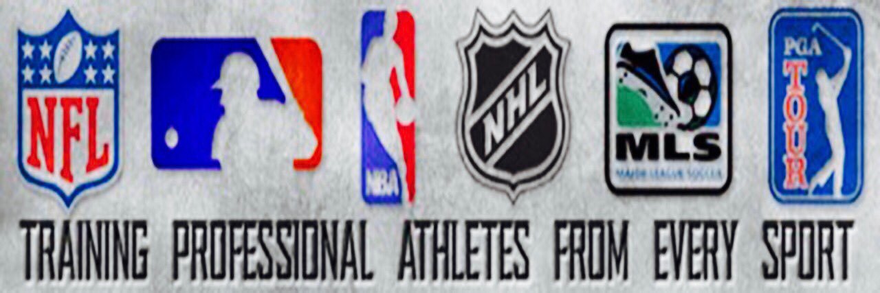 Tim Hartwig banner