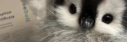 Mathcchqwer's profile banner image