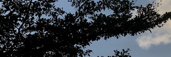 Miss_Oluremi Profile Banner