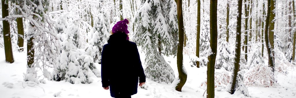 I'm on Mastodon too, i guess: @bellatrixed@zirk.us banner