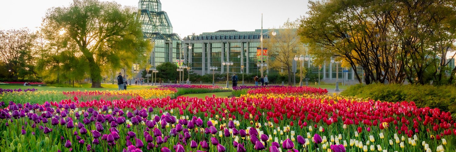 NCC_CCN's profile banner image