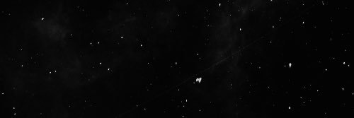 denalmira's profile banner image