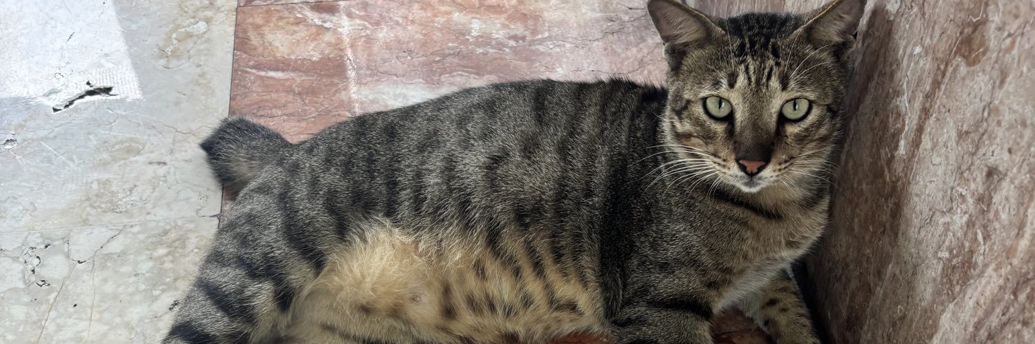 Love, ratih🌙 banner