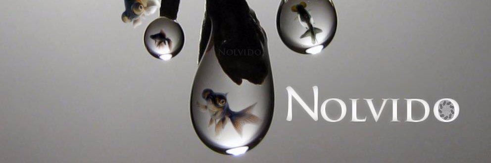 Nolvido banner