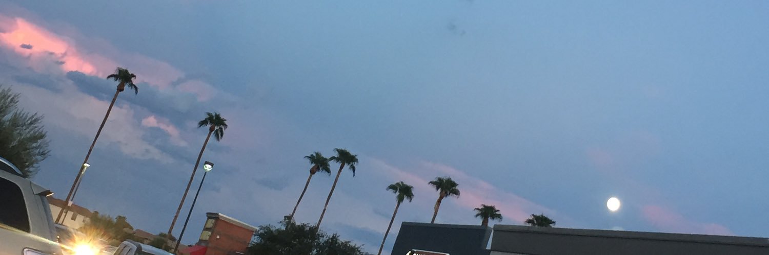 Roger Michael banner