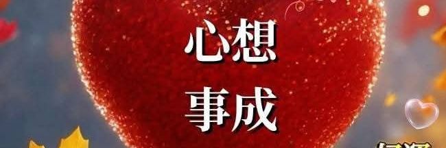 peonyaquarius's profile banner image