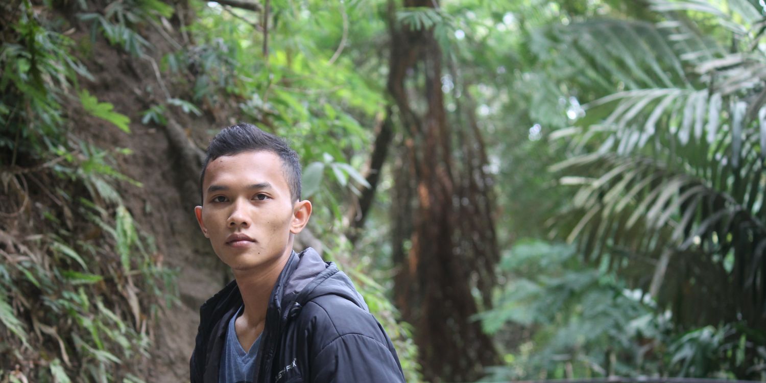 DolDot's profile banner image