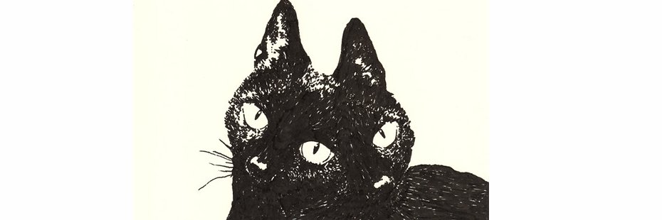 Pamcakes banner
