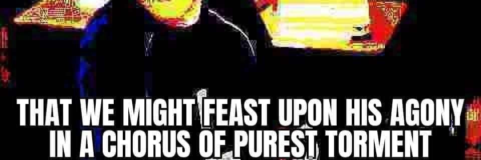 Ringo_the_fly banner