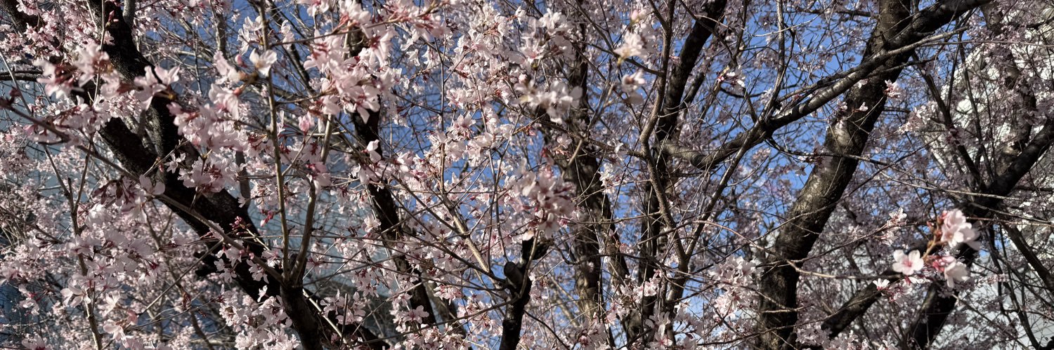 愛須さん banner