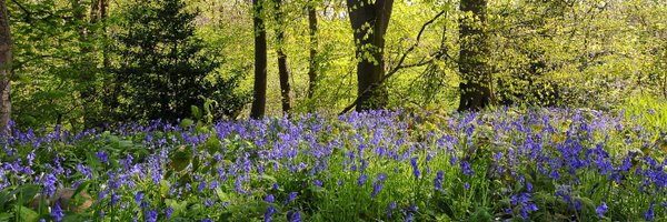 ProfDavidHill Profile Banner