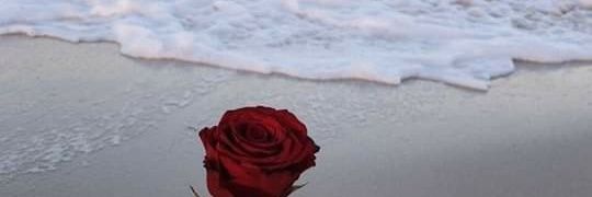 Ine48948818's profile banner image
