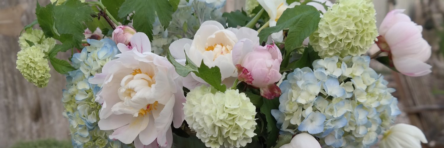 Shacksonflowers's profile banner image