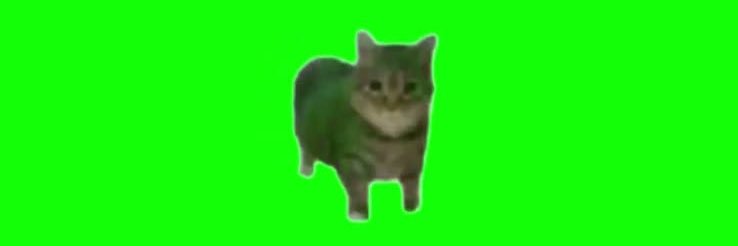 smollymunchkin's profile banner image