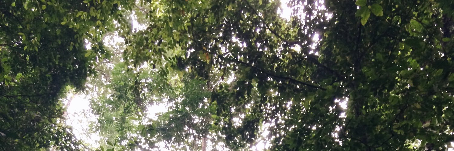 averysim's profile banner image