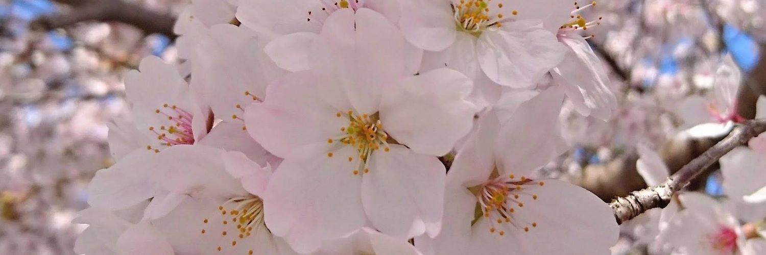black_okw's profile banner image