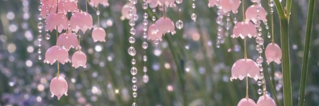 wellsandspells's profile banner image