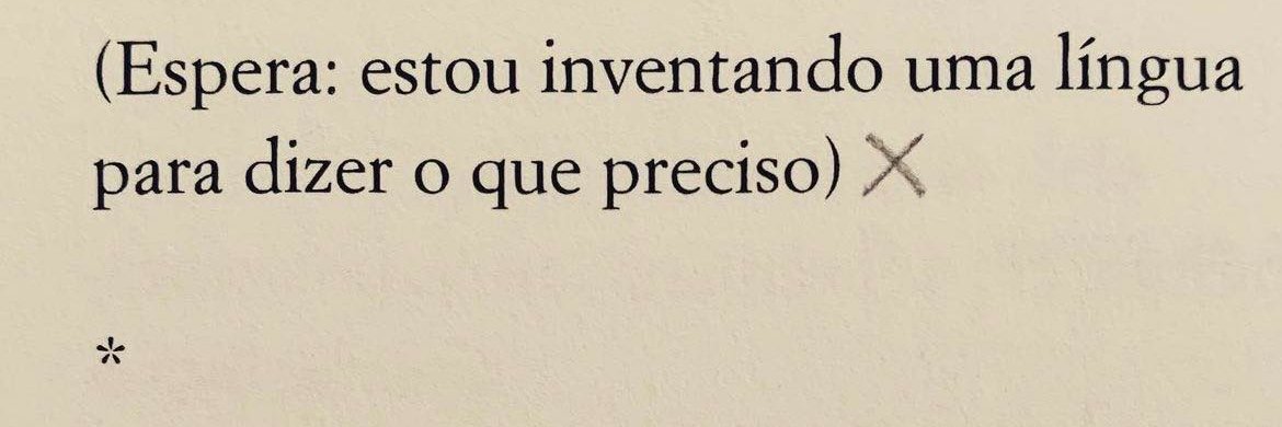 O Poema Ensina a Cair banner