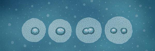 WilDeaD Profile Banner