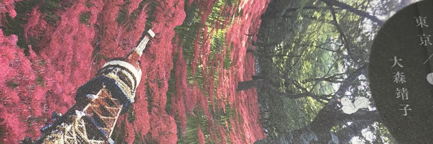 saisaimania's profile banner image
