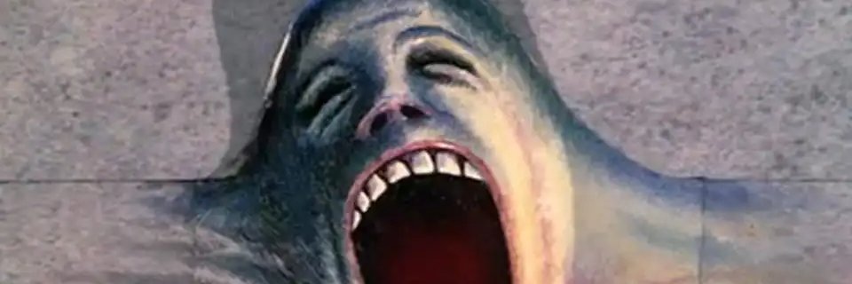 cumburluoglu's profile banner image