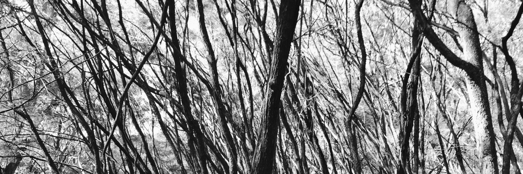 stilgherrian's profile banner image