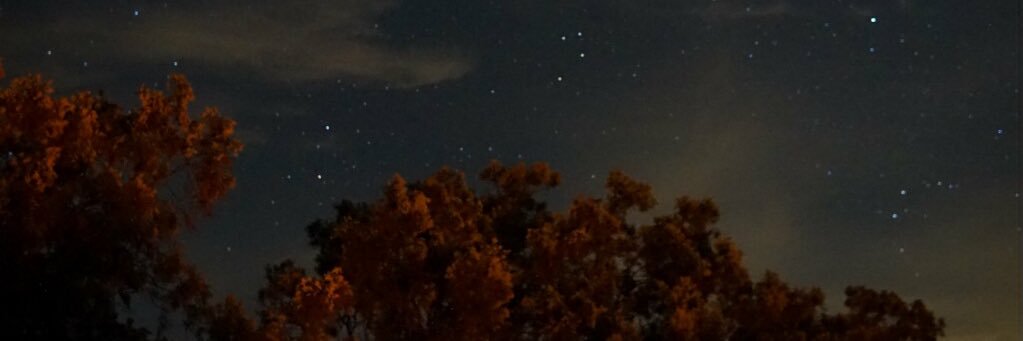 notallentorde's profile banner image