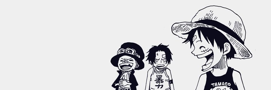 paum banner