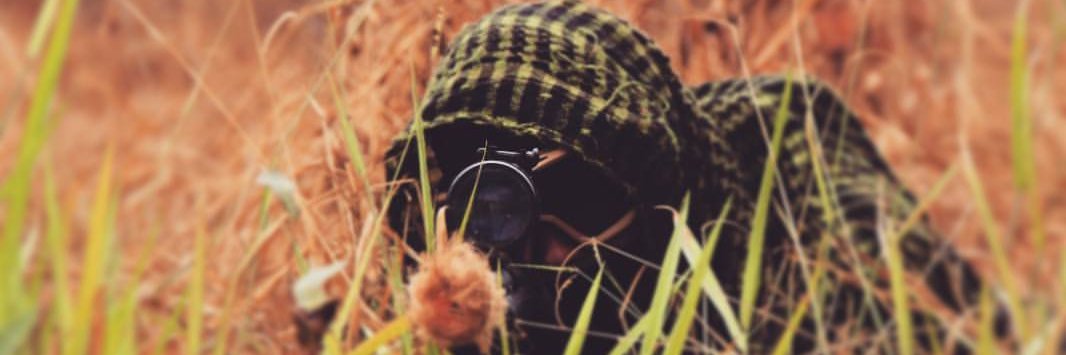charlaozk's profile banner image