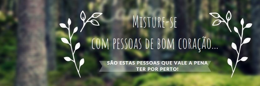 klaudiapianta's profile banner image