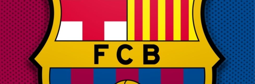 Lleidatà banner