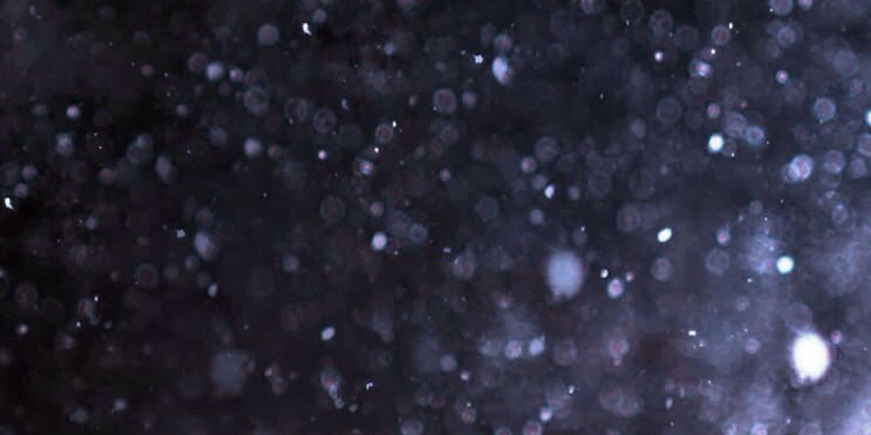 Randall Rivera banner