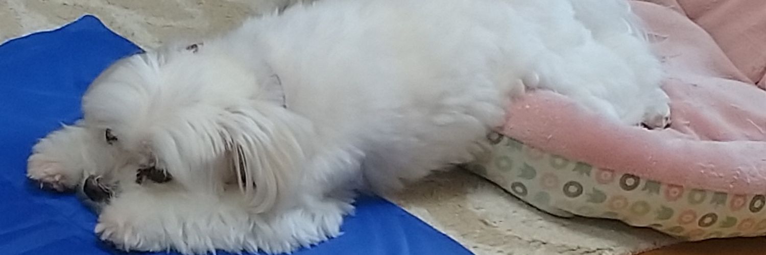 tomkos10's profile banner image
