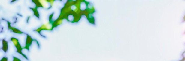 •.° น้องหมามาเพ้อ .°• banner