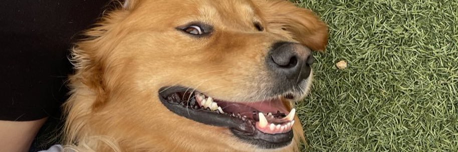 NickyNovida's profile banner image