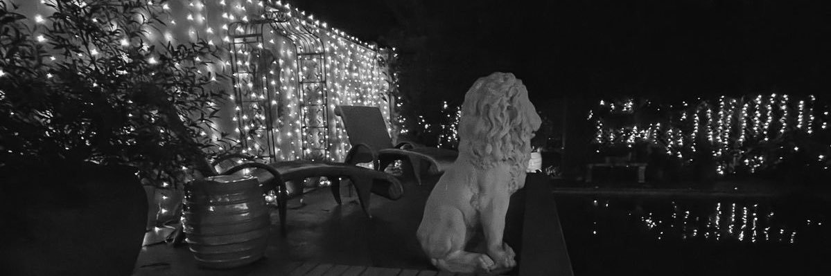 danielaaramire2's profile banner image