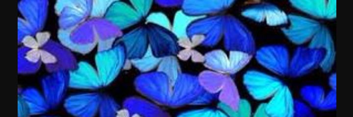 Jennifer banner